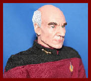 picard , next generation , star trek , stewart , science fiction